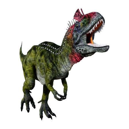 3D rendering of a dinosaur Cryolophosaurus isolated on white backgroundの写真素材