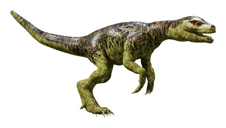 3D rendering of a dinosaur Tyrannosaurus hatchling isolated on white background