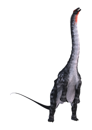 3D rendering of a dinosaur Apatosaurus isolated on white backgroundの写真素材