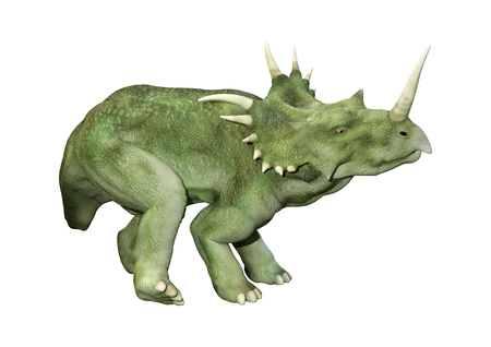 3D rendering of a dinosaur Styracosaurus or spiked lizard, a genus of herbivorous ceratopsian dinosaur from the Cretaceous Period (Campanian stage) isolated on white backroundの写真素材