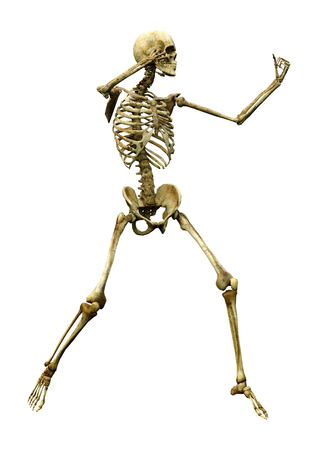 3D rendering of a human skeleton isolated on white backgroundの写真素材