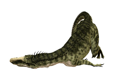 3D rendering of a dinosaur Monolophosaurus isolated on white backgroundの写真素材