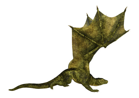 3D rendering of a fantasy dragon isolated on white backgroundの写真素材