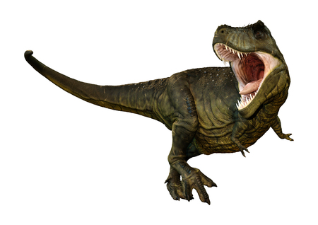 ティラノサウルスの写真素材 イラスト素材 ストックフォトのamanaimages Plus