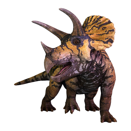 3D rendering of a dinosaur Triceratops  isolated on white backgroundの写真素材