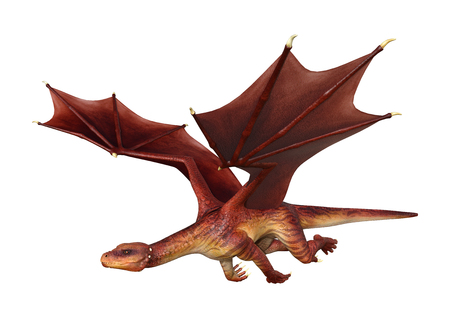 3D rendering of a red fantasy dragon isolated on white backgroundの写真素材