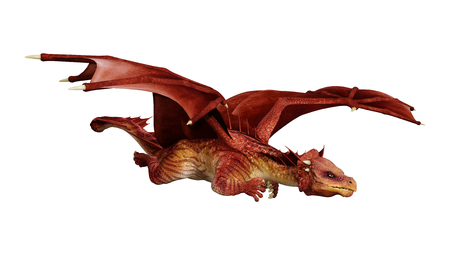 3D rendering of a red fantasy dragon isolated on white backgroundの写真素材