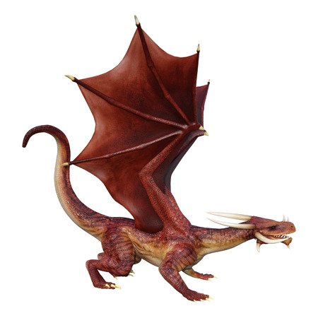 3D rendering of a red fantasy dragon isolated on white backgroundの写真素材