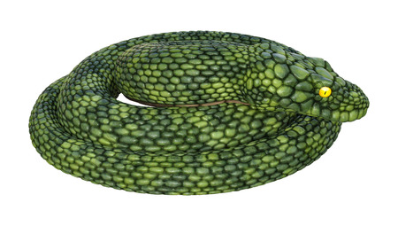 3D rendering of a green giant fantasy snake isolated on white background