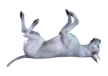 3D rendering of a blue Great Dane dog isolated on white backgroundの写真素材