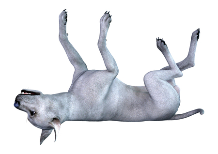 3D rendering of a blue Great Dane dog isolated on white backgroundの写真素材