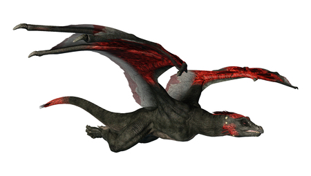3D rendering of a fantasy dragon isolated on white backgroundの写真素材