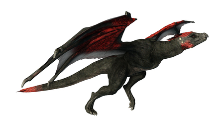 3D rendering of a fantasy dragon isolated on white backgroundの写真素材