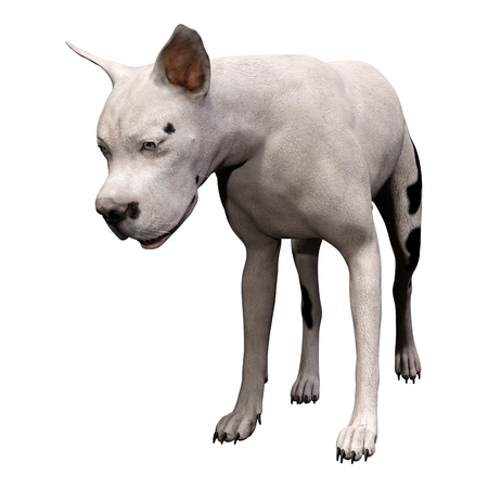 3D rendering of a Great Dane dog isolated on white backgroundの写真素材