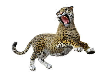 3D rendering of a big cat jaguar isolated on white backgroundの写真素材