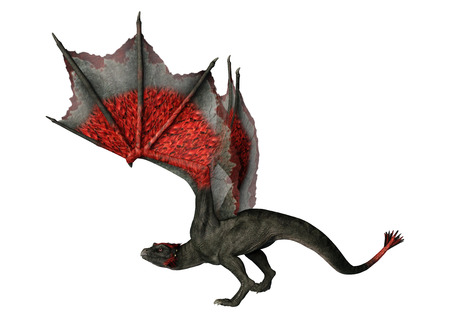 3D rendering of a fantasy dragon isolated on white backgroundの写真素材