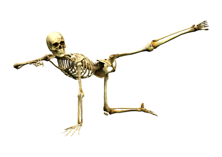 3D rendering of a human skeleton isolated on white backgroundの写真素材