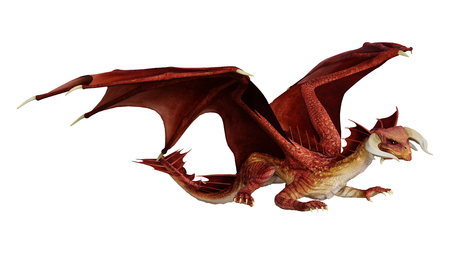 3D rendering of a fantasy dragon isolated on white backgroundの写真素材