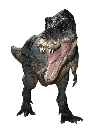 3D rendering of a dinosaur Tyrannosaurus Rex isolated on white backgroundの写真素材