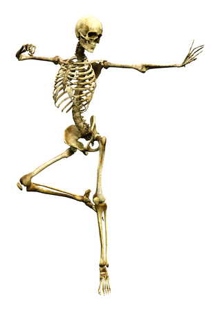 3D rendering of a human skeleton isolated on white backgroundの写真素材