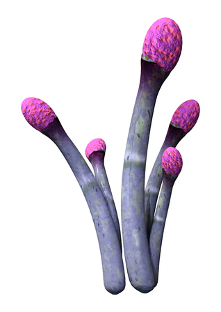 3D rendering of a fantasy alien plant isolated on white backgroundの写真素材