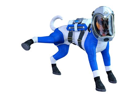 3D rendering of an astronaut dog isolated on white backgroundの写真素材