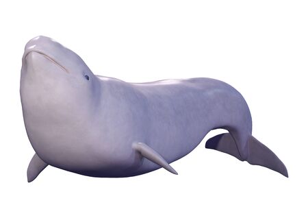 3D rendering of a narwhal calf or Monodon monoceros, or narwhale isolated on white backgroundの写真素材