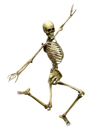 3D rendering of a human skeleton isolated on white backgroundの写真素材