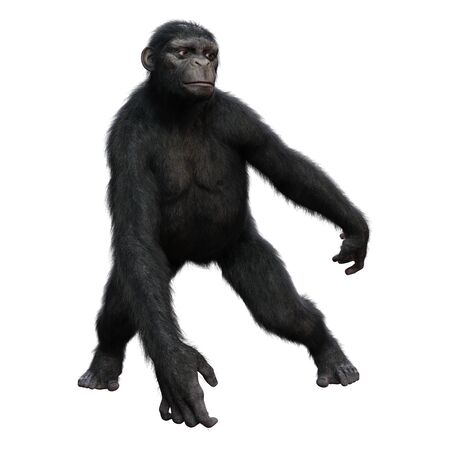 3D rendering of a big chimpanzee isolated on white background