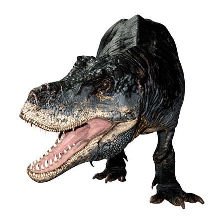 3D rendering of a dinosaur Tyrannosaurus Rex isolated on white background