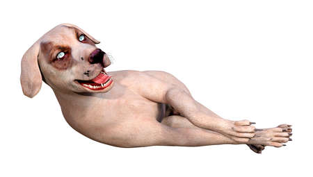 3D rendering of a crossbreed dog isolated on white backgroundの写真素材