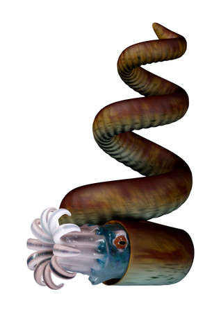 3D rendering of a Bostrychoceras, extinct shelled cephalopod animal isolated on white backgroundの写真素材