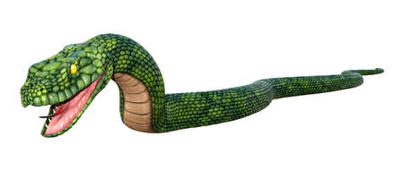 3D rendering of a green giant fantasy snake isolated on white background