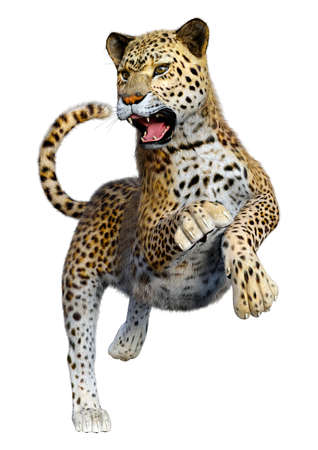 3D rendering of a big cat leopard isolated on white backgroundの写真素材