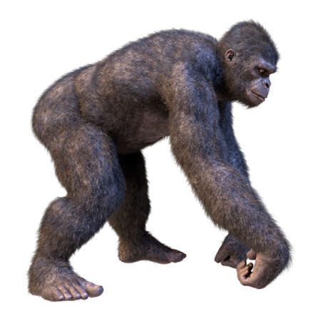 3D rendering of a gorilla ape isolated on white background