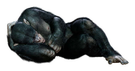 3D rendering of a big chimpanzee ape isolated on white backgroundの写真素材