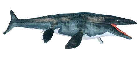 3D rendering of a  large marine extinct reptile Mosasaur isolated on white background