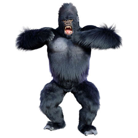 3D rendering of a black gorilla ape isolated on white backgroundの写真素材