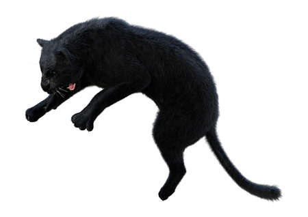 3D rendering of a big cat black panther isolated on white background