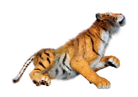 3D rendering of a big cat tiger isolated on white backgroundの写真素材