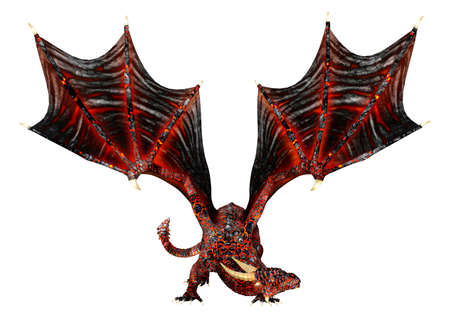 3D rendering of a fantasy dragon isolated on white backgroundの写真素材