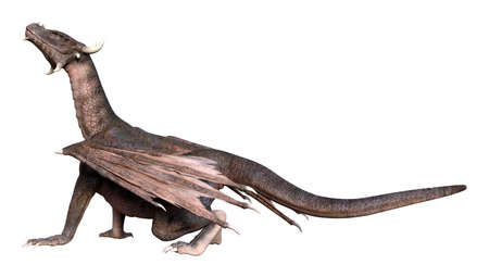 3D rendering of a fantasy dragon isolated on white backgroundの写真素材