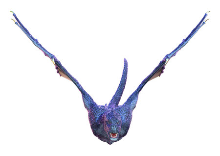 3D rendering of a fantasy dragon isolated on white backgroundの写真素材