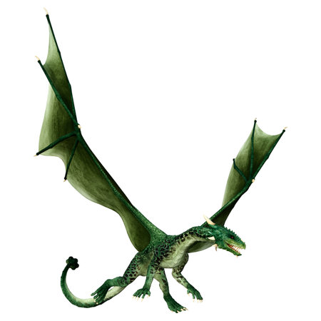 3D rendering of a fantasy dragon isolated on white backgroundの写真素材