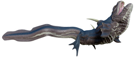 3D rendering of a fantasy sea dragon isolated on white backgroundの写真素材