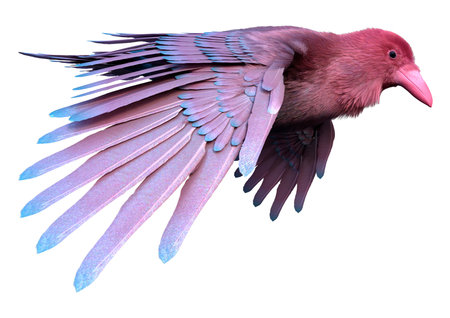 3D rendering of a pink crow isolated on white backgroundの写真素材