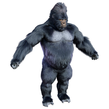 3D rendering of a black gorilla ape isolated on white background