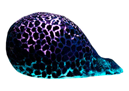 3D rendering of a brain coral isolated on white backgroundの写真素材