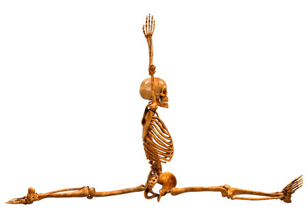 3D rendering of a human skeleton isolated on white background