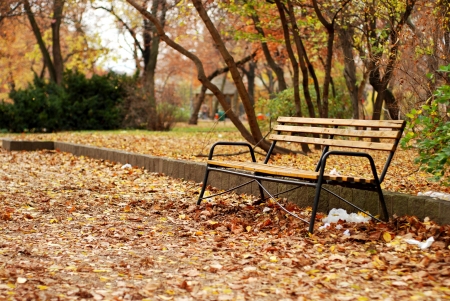 Bench in Parkの写真素材